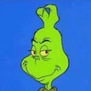 Meet your Posher, Lily